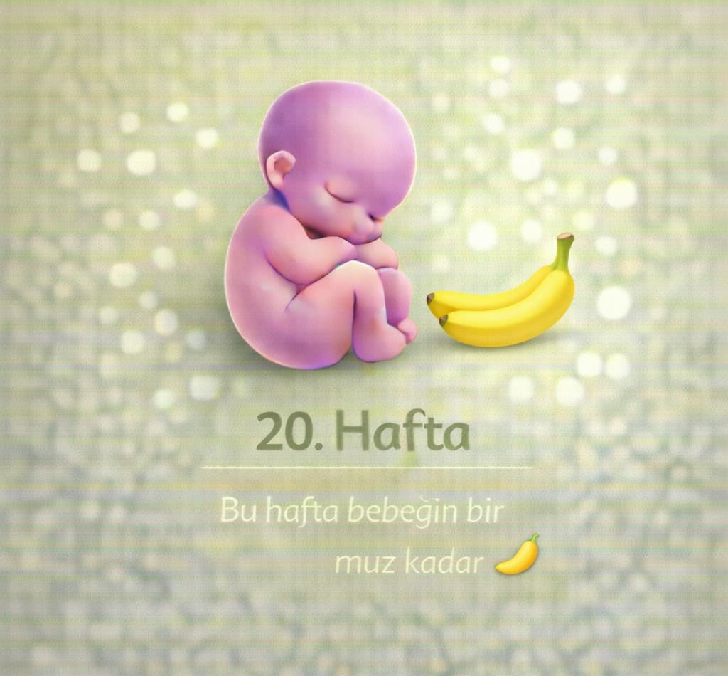 20. Hafta Gebelik