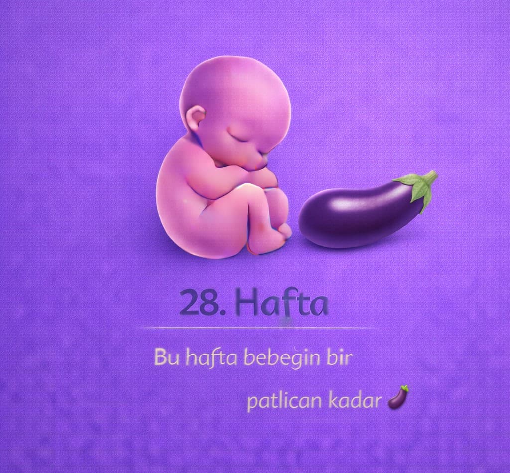 28. Hafta Gebelik