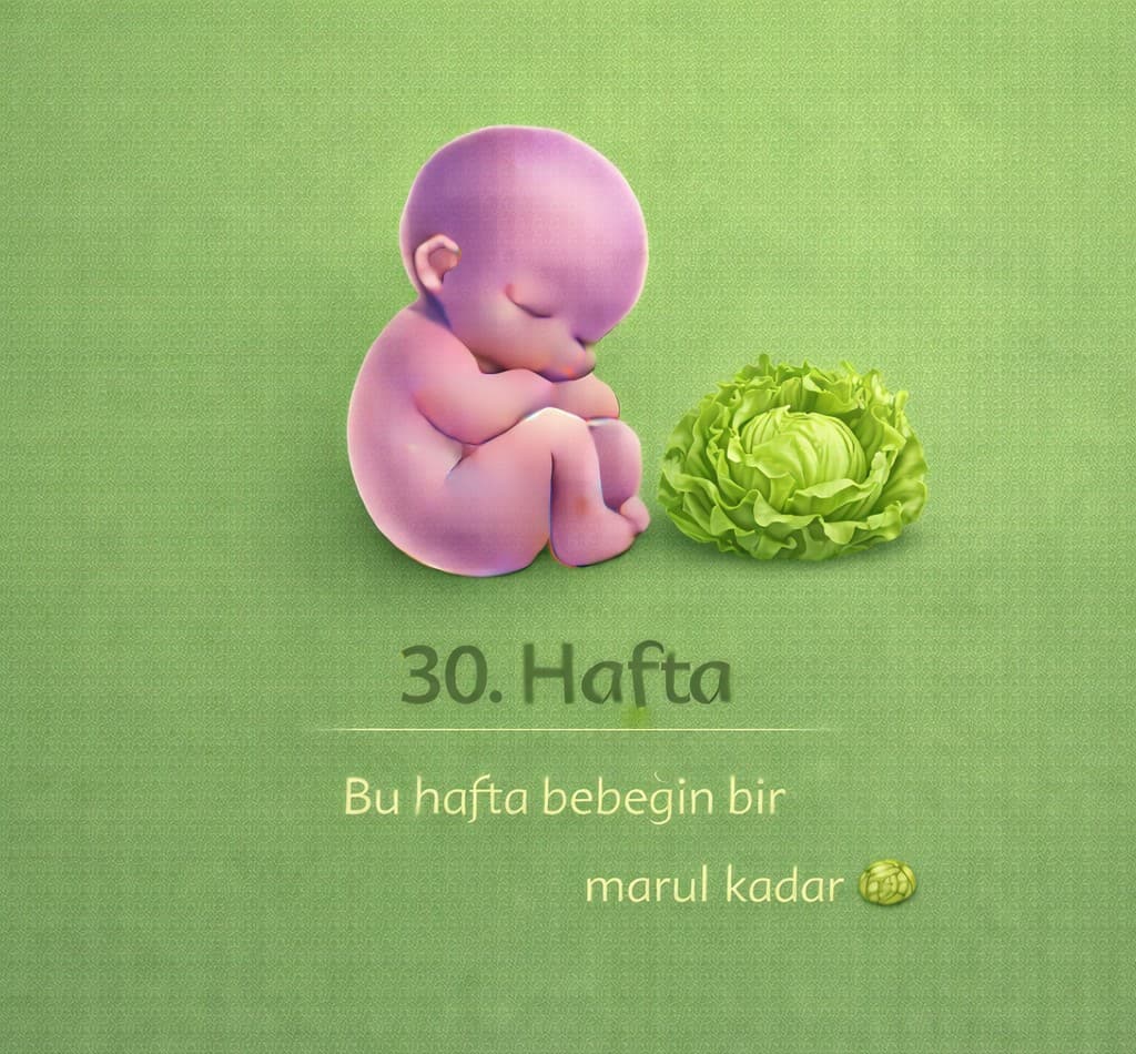 30. Hafta Gebelik