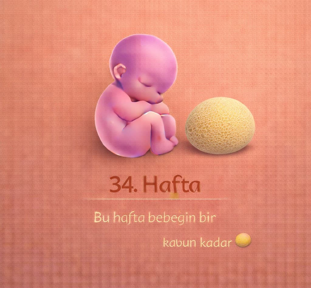 34. Hafta Gebelik