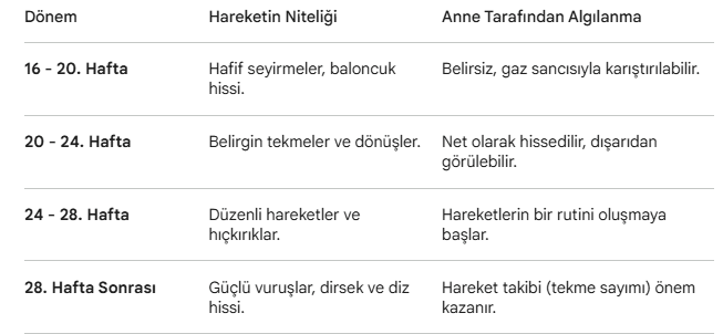 Bebek Hareketleri Ne Zaman Hissedilir?
